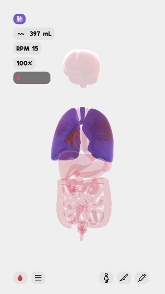 生命life最新版免费版截图2