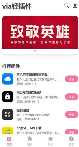 via轻插件纯净版截图1