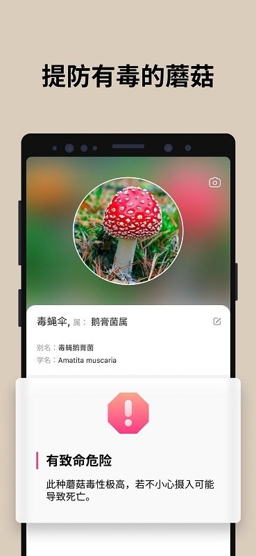 PictureMushroom安卓版截图2