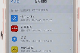 支付宝app查看授权的基础操作是什么图7