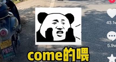 come的喂是什么意思图1