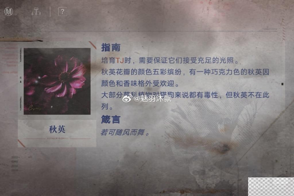 无期迷途花笺密文答案一览图5