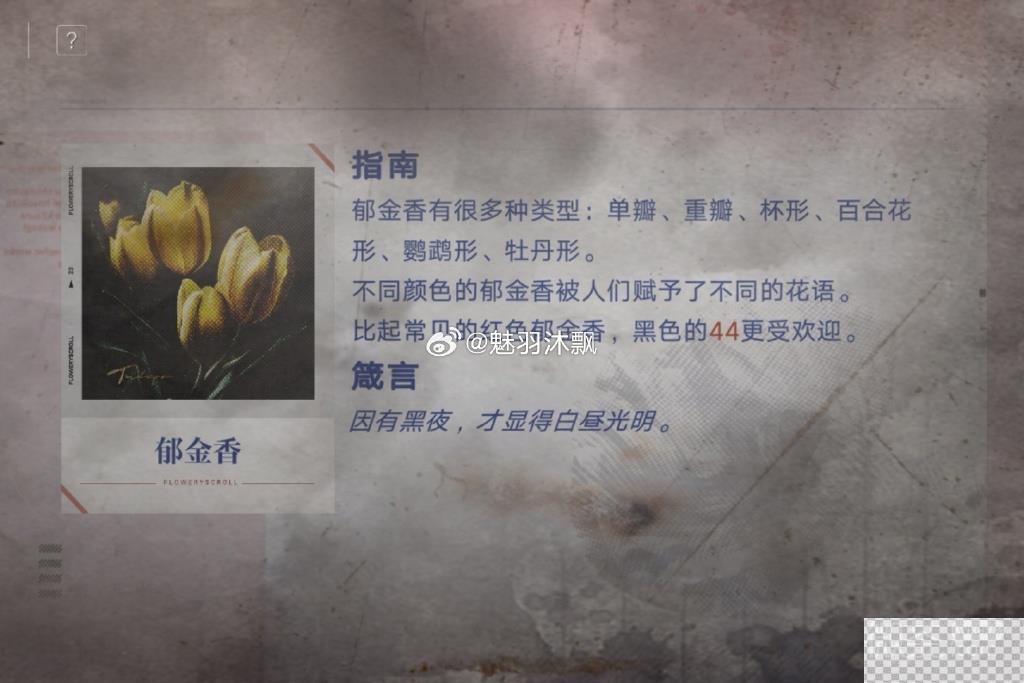 无期迷途花笺密文答案一览图10