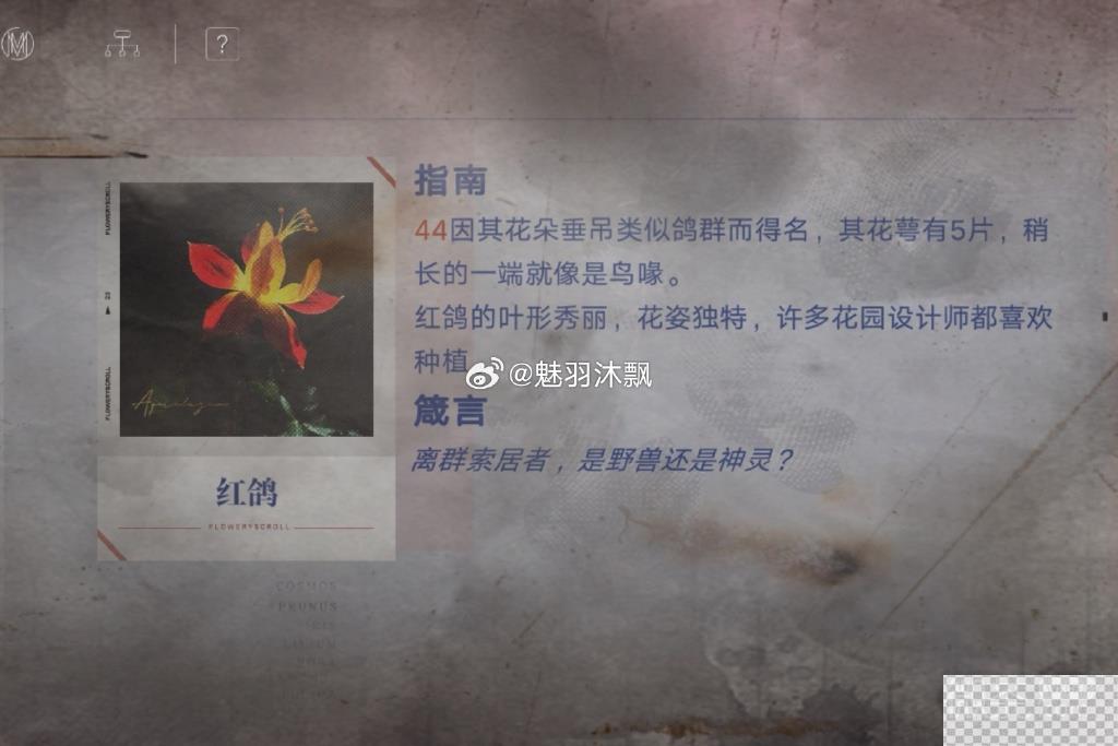 无期迷途花笺密文答案一览图4