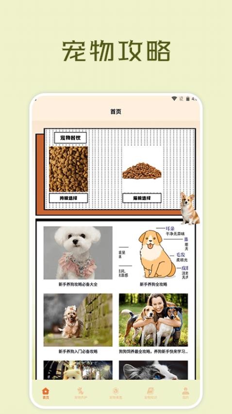 宠物小组件盒子最新版截图3