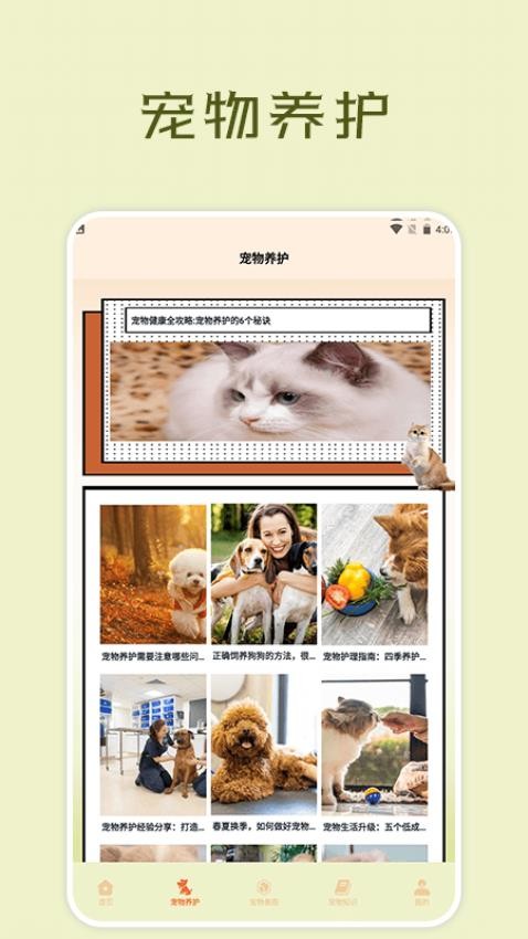 宠物小组件盒子最新版截图2