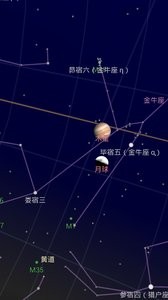 谷歌星空中文版截图1