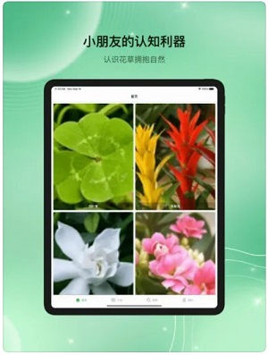 花草图鉴最新版截图1