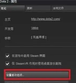 dota2国服启动项设置方法介绍图3