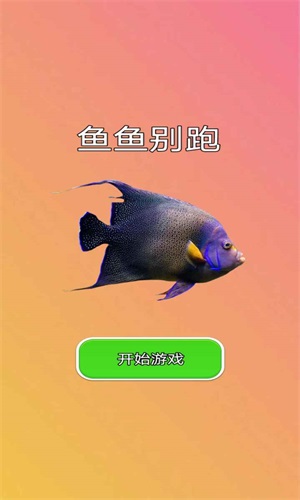 鱼鱼别跑免费版截图2