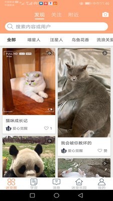 迷宠圈最新版截图2