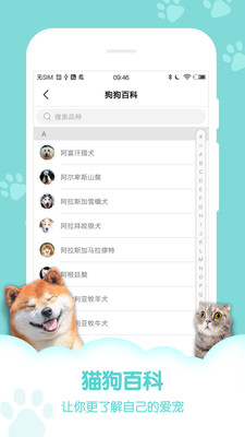 猫狗神翻译手机版截图1