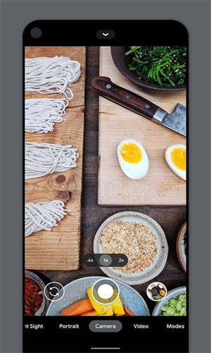 Camera谷歌相机中文版截图1