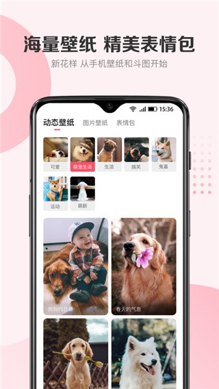 68宠物犬证办理2024版截图3