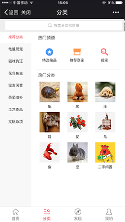 拍宠最新版截图1