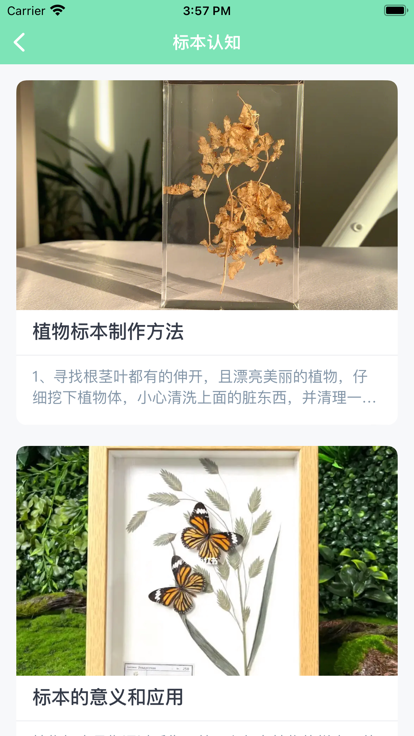 春阳标本免费版截图1