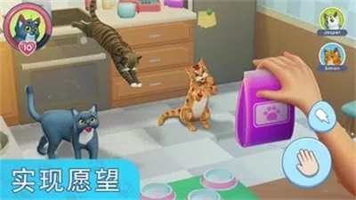 我的宠物猫模拟器最新版截图2