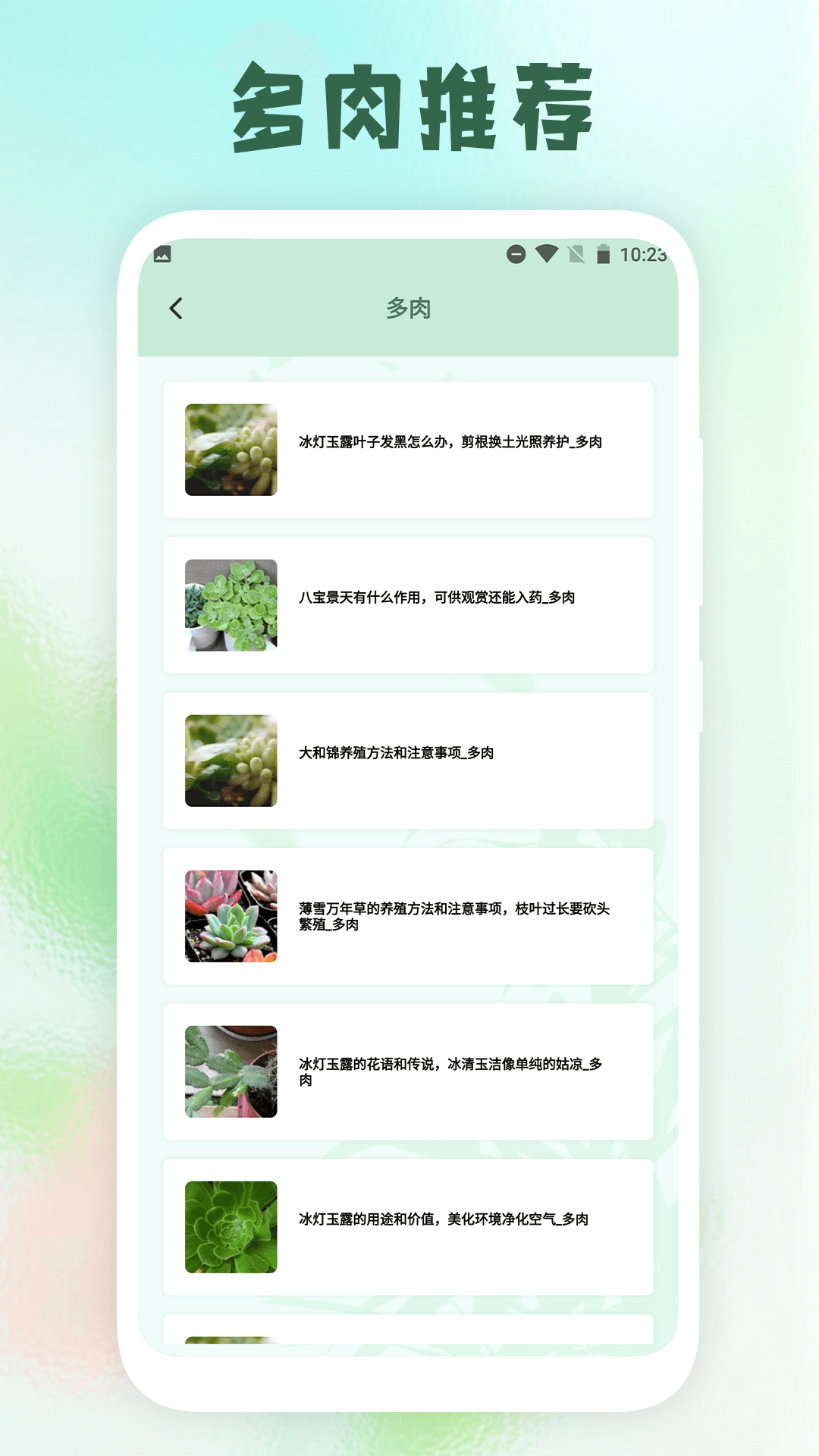 开心花园踏青花草识别官方版截图2