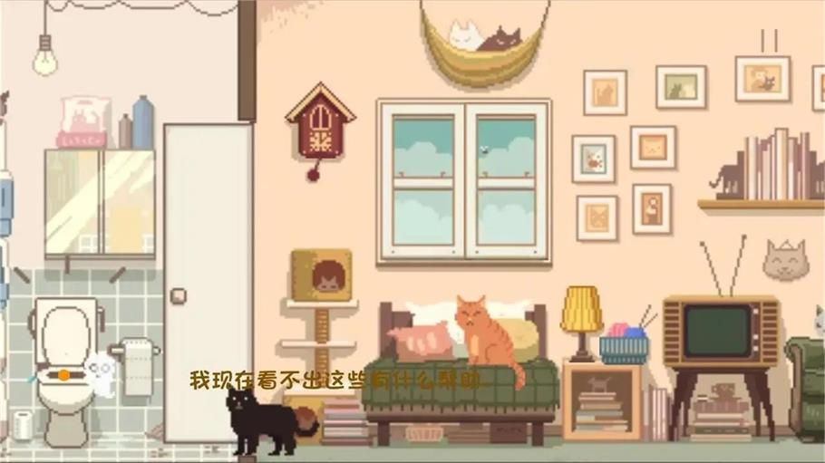 大城小猫最新版截图3