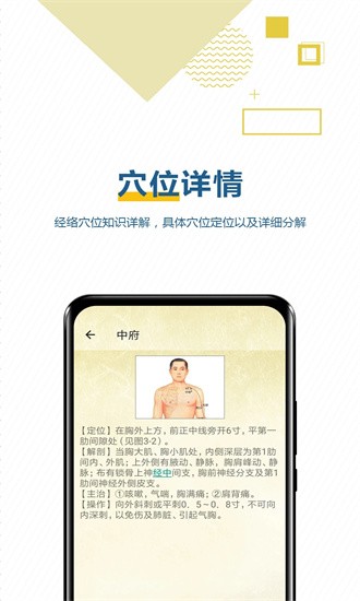 穴位按摩宝典免费版截图2